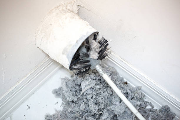 Best Air Duct Cleaning Near Me  in Pocomoke City, MD